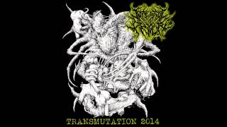 Internal Devour- Marinated Remnants of the Putrid [New Song 2014]