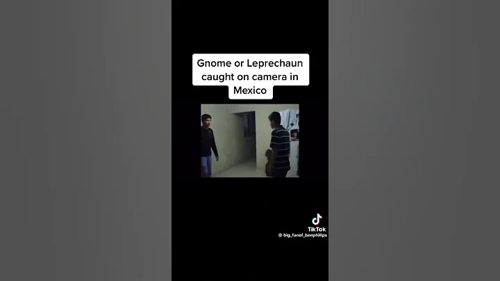 Real Gnome or Leprechaun caught on camera ….