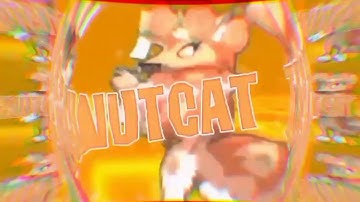 Penutcat AJ Intro!