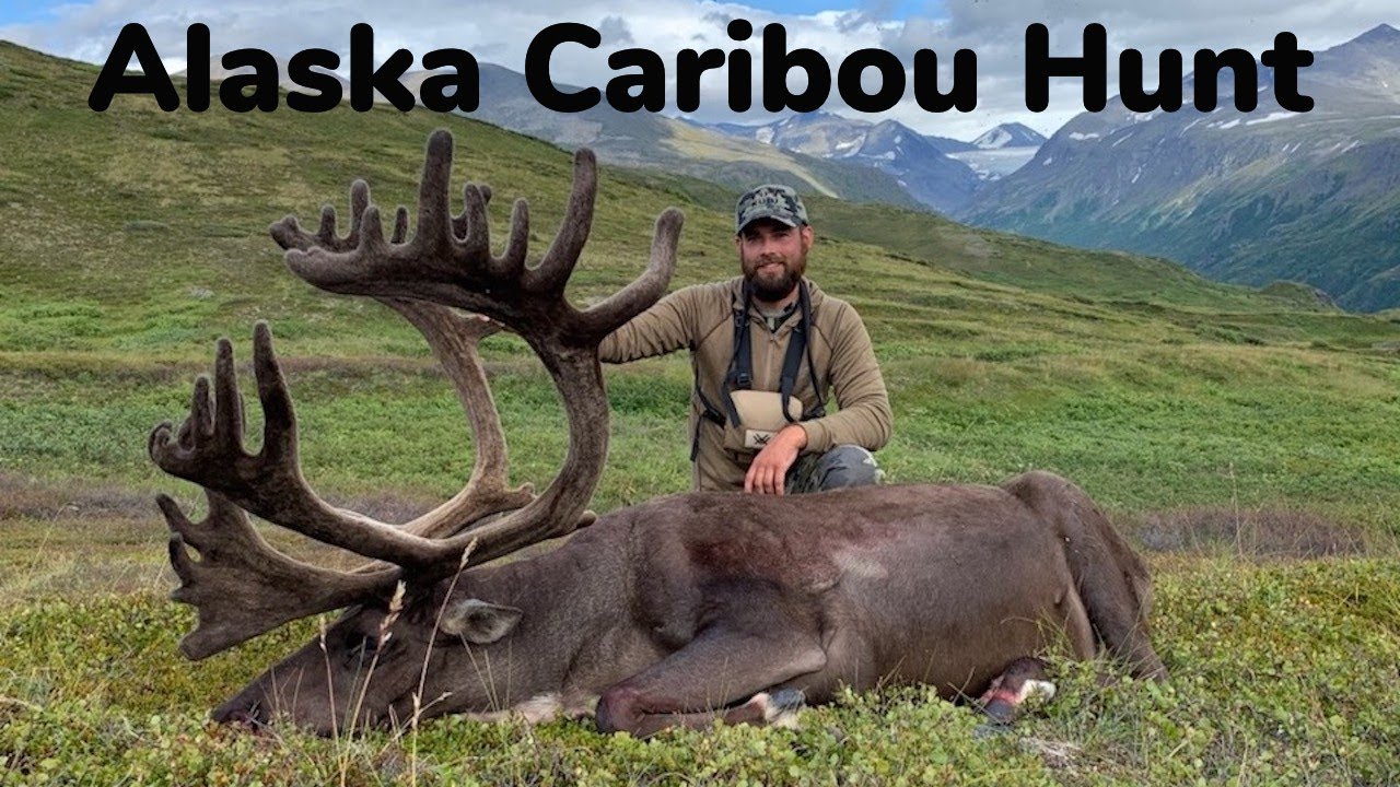caribou hunting alaska