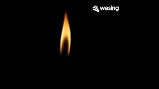 kmy kmo - Popocamlighter - cover