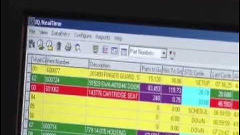 Plastic Injection Molding- IQMS Technology