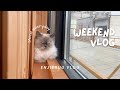 Weekend Vlog