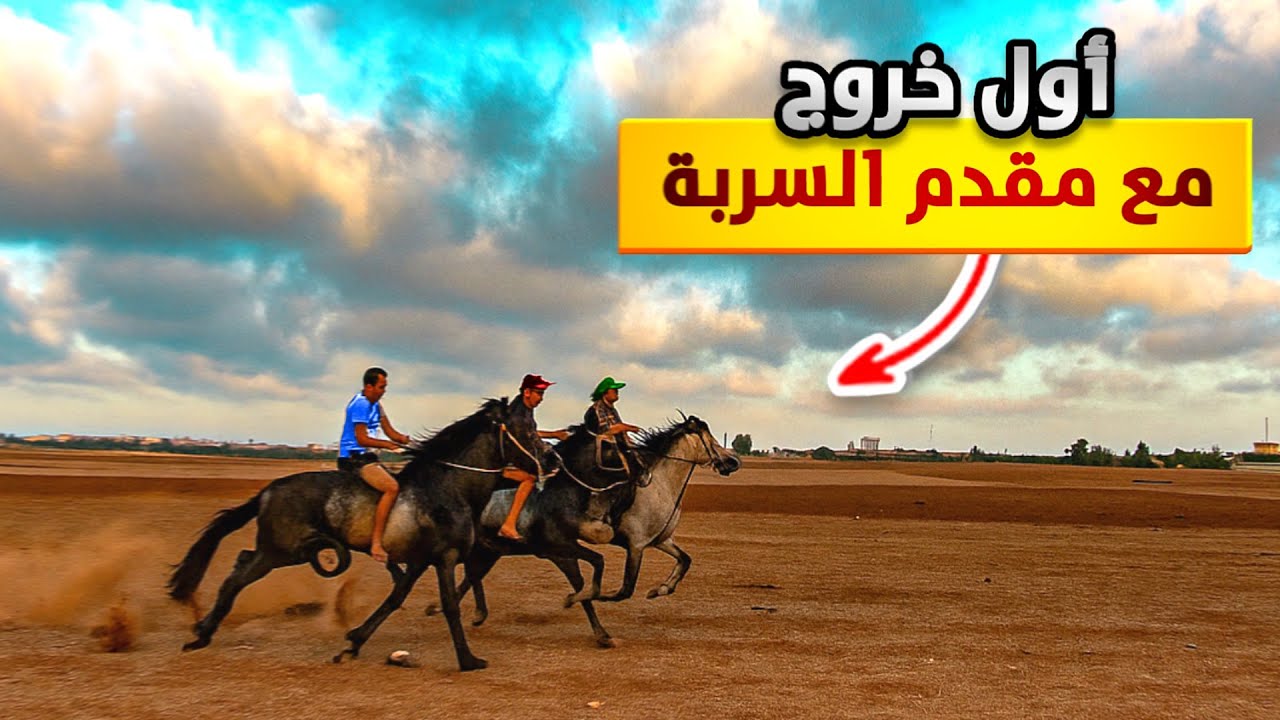  يوم جديد🌞أخرجنا خيولنا اليوم مع مقدم السربة… 🤩لحظات مليئة بالحماس والفخر 🇲🇦