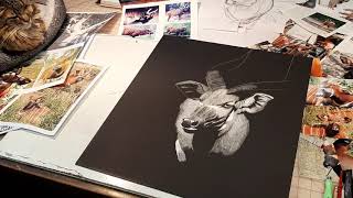 Scratchboard demo