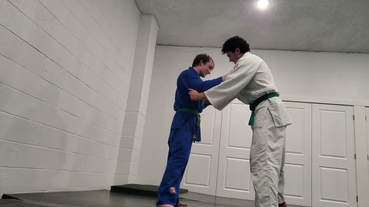 Judo and acrobatics copy