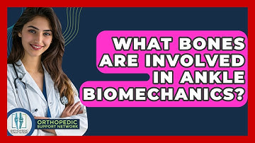 What Bones Are Involved In Ankle Biomechanics? - Orthopedic Support Network