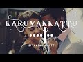 Karuvakkattu karuvaya  remix song  slowly and reverb version  maruthu