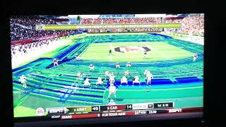 Glitched field - ncaa football 14