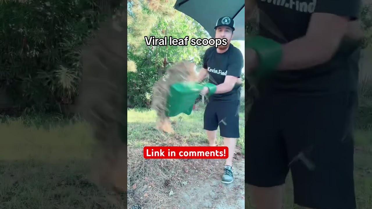 (LINK IN BIO) Check out these GIANT Viral Leaf Scoops
