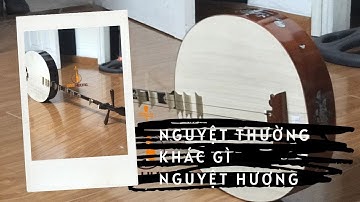 Đàn nguyệt Hương khác gì cây đàn nguyệt thường giá rẻ