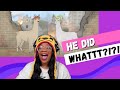 Llamas with Hats 3 | FilmCow | AyChristene Reacts