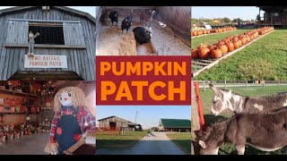 Visiting Two Sister’s Pumpkin Patch 2020
