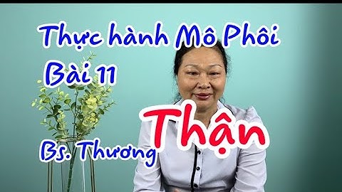 Thực hành Mô Phôi - Bài 12 - Hệ Tiết niệu - Thận