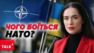 Зближення України й НАТО! Шукають формулу, як його зафіксувати на Вашингтонському саміті