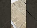 Indian Tandur Yellow Limestone Paving Slabs 900x450 mm