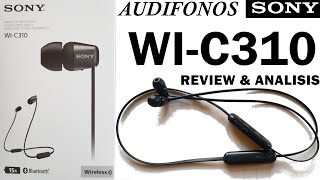 Sony WI-C310, Valen la pena? Análisis y Review - Tonkatoon