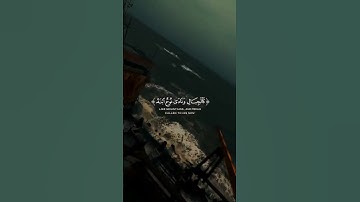 سورة هود اية 42 بصوت الشيخ محمد الصديق المنشاوي
