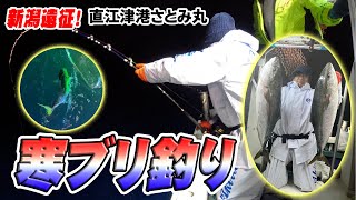 Freezing cold yellowtail fishing at Satomimaru in Naoetsu Port