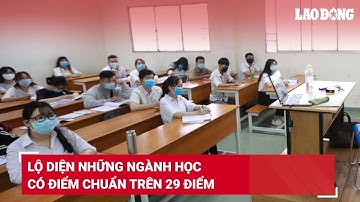 Lộ diện những ngành học có điểm chuẩn trên 29 điểm | Báo Lao Động