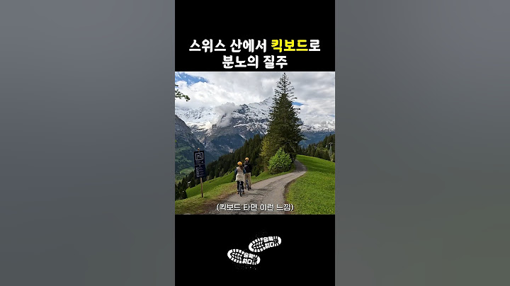 전동 킥보드는 상대가 안되는 수동 킥보드