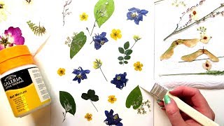 How to make pressed flower art. i'm pressing flowers and leaves in a
book using them create floral patterns on cardboard. scanning editing
the...