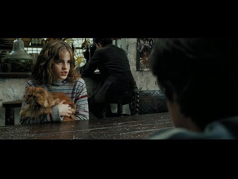 Harry Potter and the Prisoner of Azkaban   Reencounter of harry Ron and Hermione scene