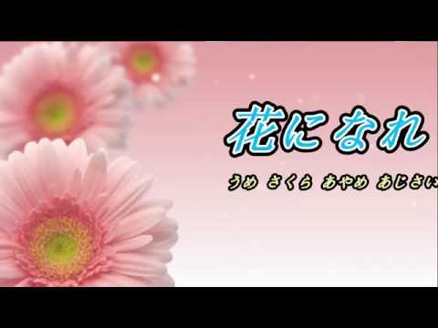 花になれ  ( RA)   ♫オリジナル歌手:田川寿美  ♪カバ－マンリイ 歌詞付き