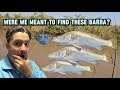 Perth boys find a SECRET BARRA SPOT