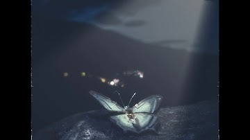 Lil Skies - Never Gon End (Instrumental Remaster)