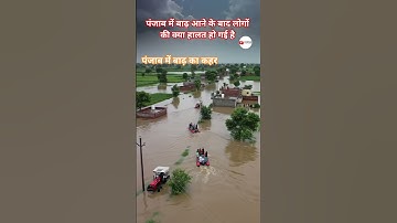 Top Learning Tools for Tech Enthusiasts #shorts #shortsfeed #viralshorts #music #youtubeshorts