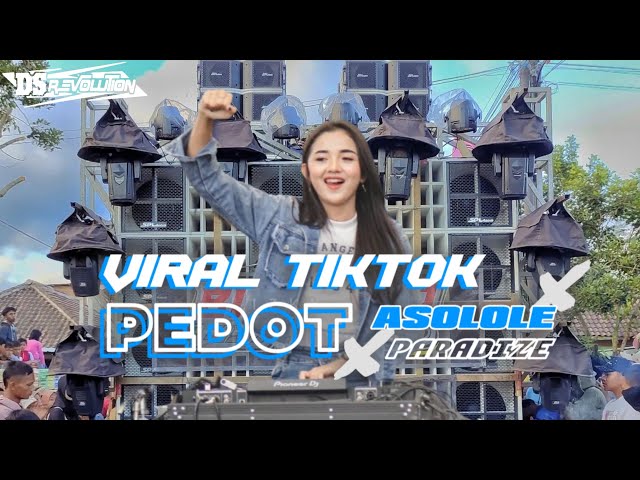 YANG KALIAN CARI CARi || Dj Pedot Asolole Viral Tiktok  X Paradize class=