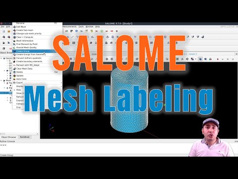 [On Demand 2] SALOME mesh generation and labeling for importing it to other programs