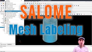 SALOME mesh generation and labeling for importing it to other programs [On Demand 2]