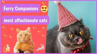 Furry Companions: Meet the Most Affectionate and Loyal Cat Breeds!