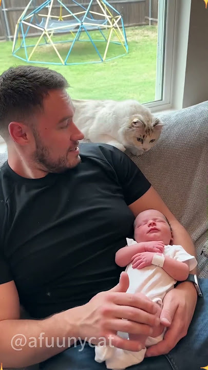 Cat sees baby for the first time ❤️❤️##catlover  #funny  #funnyvideos
