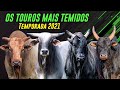 OS 10 TOUROS MAIS TEMIDOS DA ATUALIDADE - TEMPORADA  2021/22