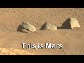 Mars Latest Images of Martian Surface in Perseverance Rover Mission