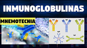¿Qué son las inmunoglobulinas y cuál es su función?
