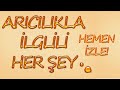 Arıcılığa Başlamadan Bilmeniz Gerekenler | Hobi Amaçlı Arıcılık | Soru-Cevap