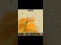 Minecraft Tik tok Hack 🔥 #shorts