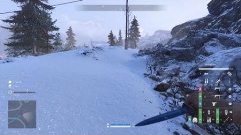 AHQ Bug Report - NA Firestorm