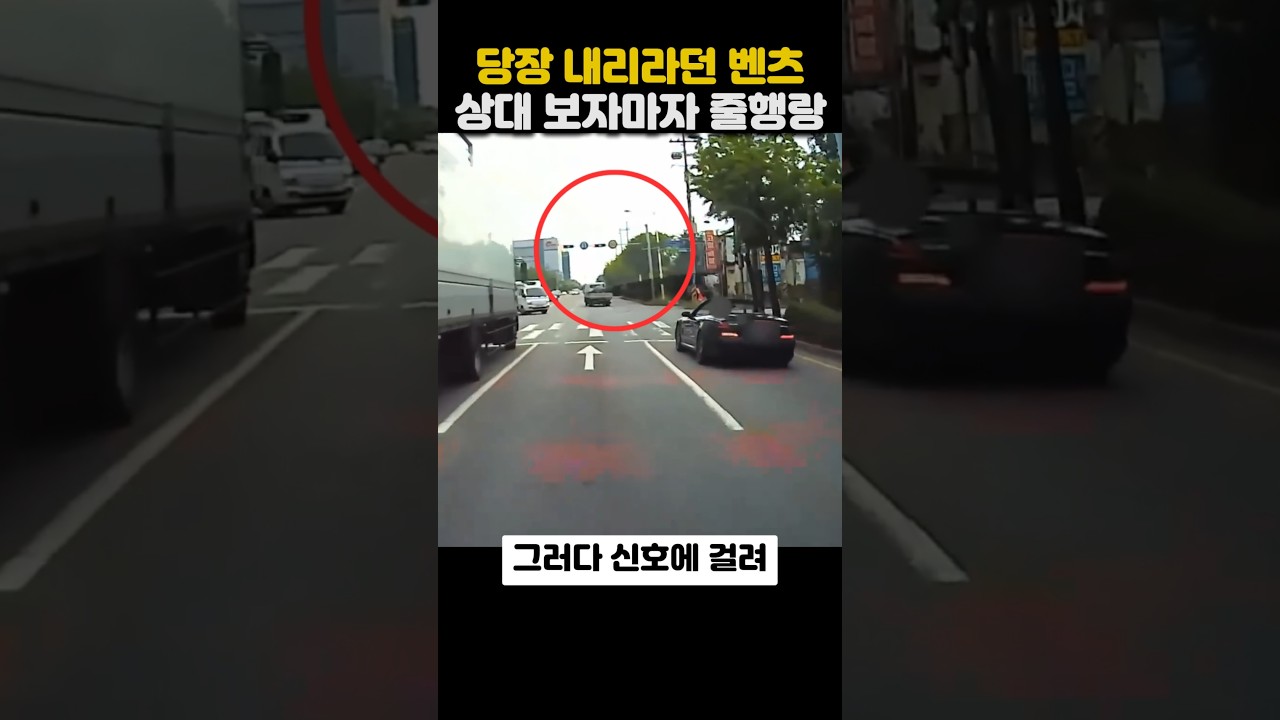 당장 내리라던 벤츠 상대 보자마자 줄행량