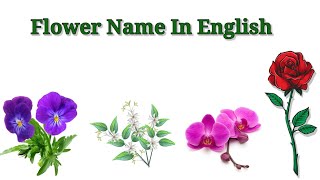 Learn Flowers Name in English With Spelling and Sound  /  Preschool Video / Video For Kids