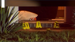 New details emerge in the fatal shooting of three people at a Dallas short-term rental home