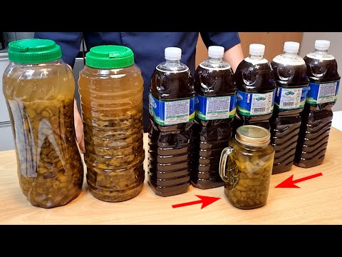 매실청 소분하기