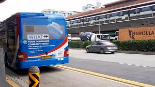 SDIC Deposit Insurance Scheme Full Body Advertisement SMB1412Z On Service 801 At Yishun Avenue 2