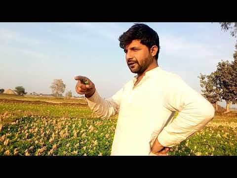 یہ ویڈیو دیکھو ہس ہس کر پاگل ہو جائو گئے