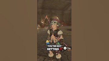 I want BOTH hearts and stamina! #zelda #totk  #funny