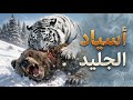 حيوانات روسيا المتوحشة صراع البقاء في جحيم سيبيريا المتجمدة وثائقي عن الحيوانات